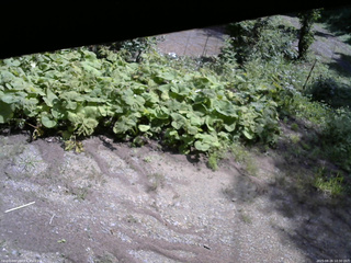 長野県菅平高原 ゆたか山荘 駐車場 2025/08/26 10:30