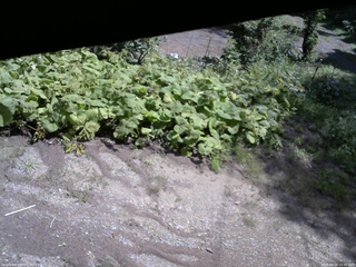 長野県菅平高原 ゆたか山荘 駐車場 2025/08/26 10:45