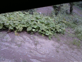 長野県菅平高原 ゆたか山荘 駐車場 2025/08/26 16:15