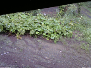 長野県菅平高原 ゆたか山荘 駐車場 2025/08/26 17:15
