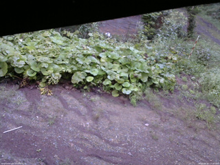 長野県菅平高原 ゆたか山荘 駐車場 2025/08/26 17:30
