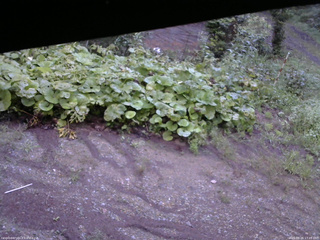 長野県菅平高原 ゆたか山荘 駐車場 2025/08/26 17:45