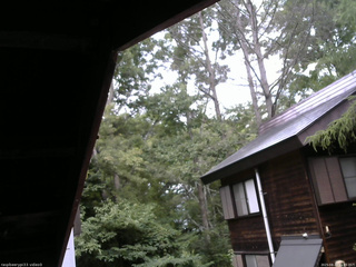長野県菅平高原 ゆたか山荘 北側 2025/08/27 11:45