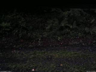 長野県菅平高原 ゆたか山荘 南側 2025/08/27 05:00