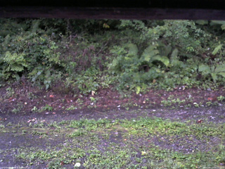 長野県菅平高原 ゆたか山荘 南側 2025/08/27 05:15