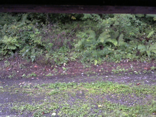 長野県菅平高原 ゆたか山荘 南側 2025/08/27 05:30