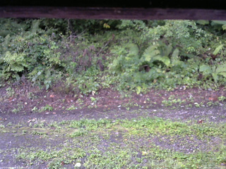 長野県菅平高原 ゆたか山荘 南側 2025/08/27 05:45