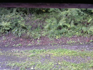 長野県菅平高原 ゆたか山荘 南側 2025/08/27 06:00