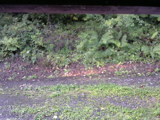 長野県菅平高原 ゆたか山荘 南側 2025/08/27 06:15