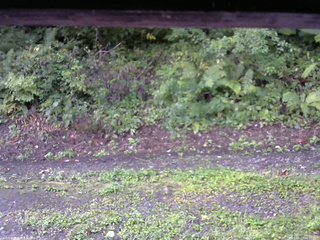 長野県菅平高原 ゆたか山荘 南側 2025/08/27 06:30