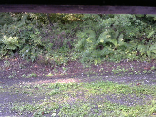 長野県菅平高原 ゆたか山荘 南側 2025/08/27 06:45