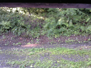 長野県菅平高原 ゆたか山荘 南側 2025/08/27 07:00