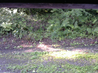 長野県菅平高原 ゆたか山荘 南側 2025/08/27 07:15