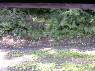 長野県菅平高原 ゆたか山荘 南側 2025/08/27 07:30