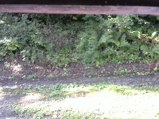 長野県菅平高原 ゆたか山荘 南側 2025/08/27 07:45