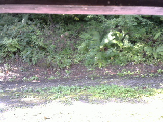 長野県菅平高原 ゆたか山荘 南側 2025/08/27 08:00