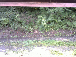 長野県菅平高原 ゆたか山荘 南側 2025/08/27 08:15