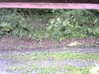 長野県菅平高原 ゆたか山荘 南側 2025/08/27 09:00