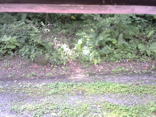 長野県菅平高原 ゆたか山荘 南側 2025/08/27 09:15