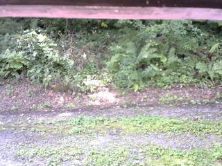 長野県菅平高原 ゆたか山荘 南側 2025/08/27 09:30