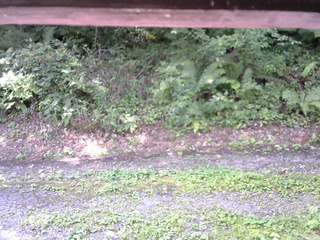 長野県菅平高原 ゆたか山荘 南側 2025/08/27 09:45