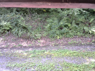 長野県菅平高原 ゆたか山荘 南側 2025/08/27 10:00