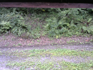 長野県菅平高原 ゆたか山荘 南側 2025/08/27 10:15