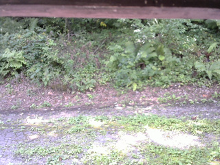 長野県菅平高原 ゆたか山荘 南側 2025/08/27 10:30