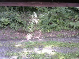 長野県菅平高原 ゆたか山荘 南側 2025/08/27 10:45