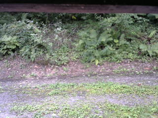 長野県菅平高原 ゆたか山荘 南側 2025/08/27 11:00