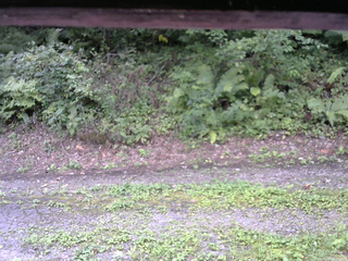 長野県菅平高原 ゆたか山荘 南側 2025/08/27 11:15