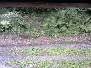 長野県菅平高原 ゆたか山荘 南側 2025/08/27 11:30