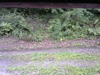 長野県菅平高原 ゆたか山荘 南側 2025/08/27 11:45