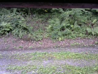 長野県菅平高原 ゆたか山荘 南側 2025/08/27 12:15