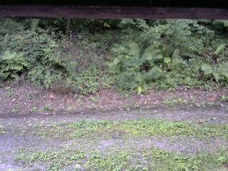 長野県菅平高原 ゆたか山荘 南側 2025/08/27 12:30