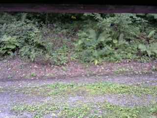 長野県菅平高原 ゆたか山荘 南側 2025/08/27 14:00