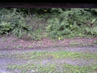 長野県菅平高原 ゆたか山荘 南側 2025/08/27 15:15