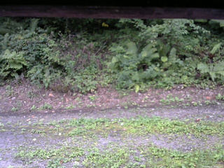 長野県菅平高原 ゆたか山荘 南側 2025/08/27 15:30