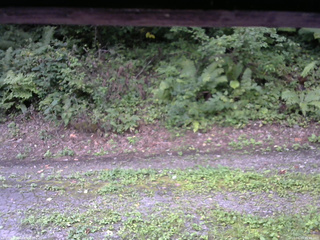 長野県菅平高原 ゆたか山荘 南側 2025/08/27 15:45