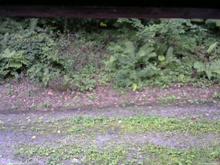 長野県菅平高原 ゆたか山荘 南側 2025/08/27 16:00