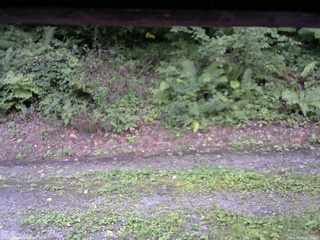 長野県菅平高原 ゆたか山荘 南側 2025/08/27 17:15