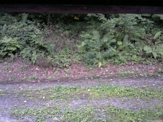 長野県菅平高原 ゆたか山荘 南側 2025/08/27 18:15