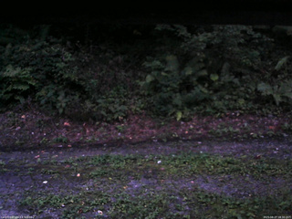 長野県菅平高原 ゆたか山荘 南側 2025/08/27 18:30