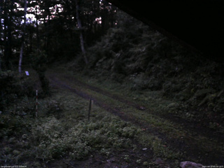 長野県菅平高原 ゆたか山荘 東側(坂下) 2025/08/27 05:00