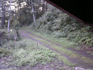 長野県菅平高原 ゆたか山荘 東側(坂下) 2025/08/27 05:30