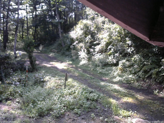 長野県菅平高原 ゆたか山荘 東側(坂下) 2025/08/27 08:00