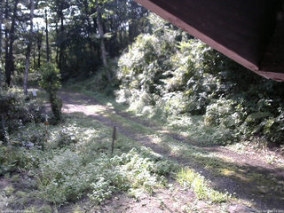 長野県菅平高原 ゆたか山荘 東側(坂下) 2025/08/27 08:15