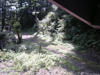 長野県菅平高原 ゆたか山荘 東側(坂下) 2025/08/27 08:45