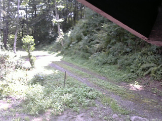 長野県菅平高原 ゆたか山荘 東側(坂下) 2025/08/27 10:30