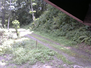 長野県菅平高原 ゆたか山荘 東側(坂下) 2025/08/27 10:45